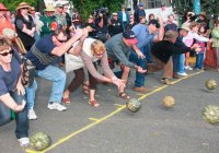 Goomeri Pumpkin Festival