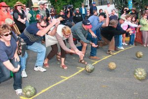 Goomeri Pumpkin Festival