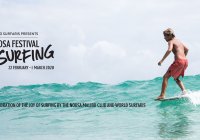 Noosa Festival Of Surfing 1