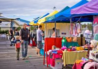 Noosa Marina Markets