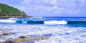 Noosa National Park