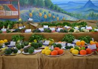 Sunshine Coast Agricultural Show Society Inc 2018